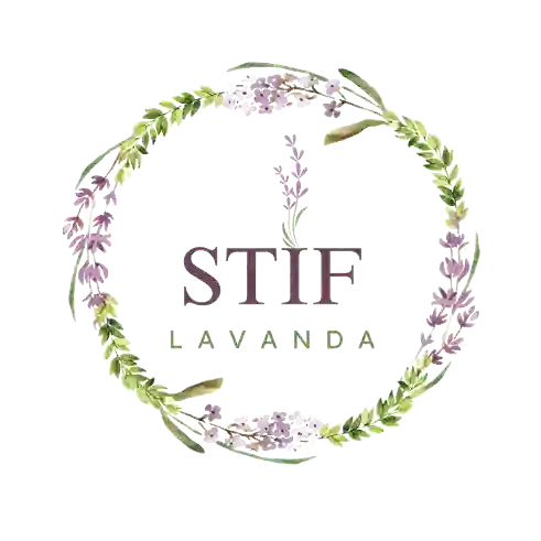 Stif Lavanda